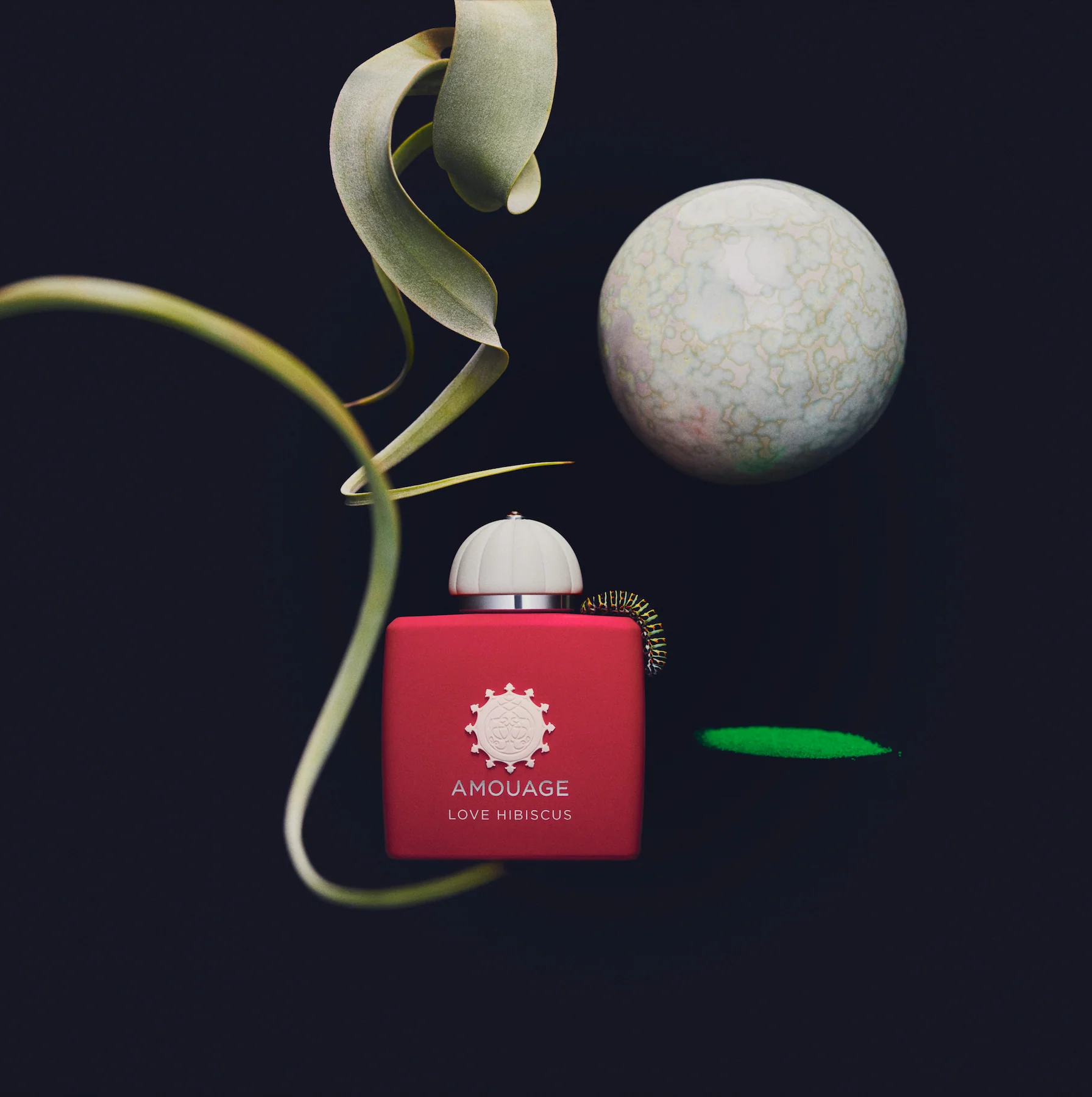Love Hibiscus - Image 3